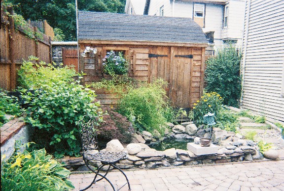 Pond & Shed